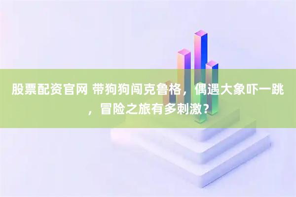 股票配资官网 带狗狗闯克鲁格，偶遇大象吓一跳，冒险之旅有多刺激？