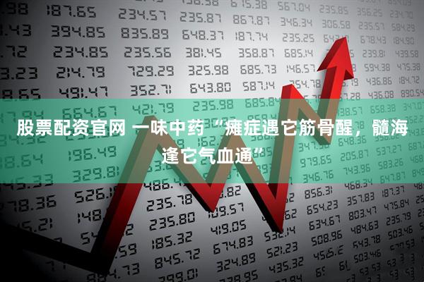 股票配资官网 一味中药 “瘫症遇它筋骨醒,髓海逢它气血通”