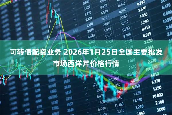 可转债配资业务 2026年1月25日全国主要批发市场西洋芹价格行情