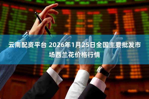 云南配资平台 2026年1月25日全国主要批发市场西兰花价格行情