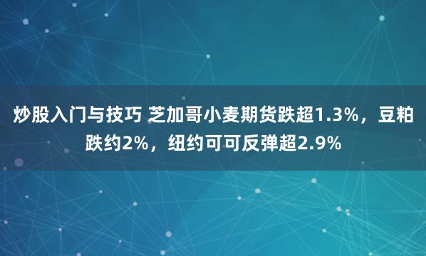 炒股入门与技巧 芝加哥小麦期货跌超1.3%，豆粕跌约2%，纽约可可反弹超2.9%