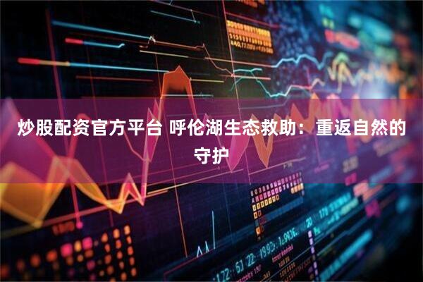 炒股配资官方平台 呼伦湖生态救助：重返自然的守护